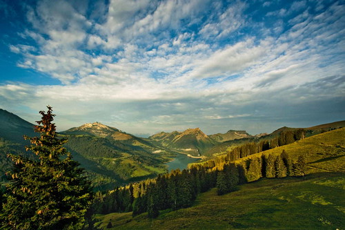 Der regionale Naturpark Gruyère Pays-d’Enhaut erstreckt sich gleich über mehrere Kantone.