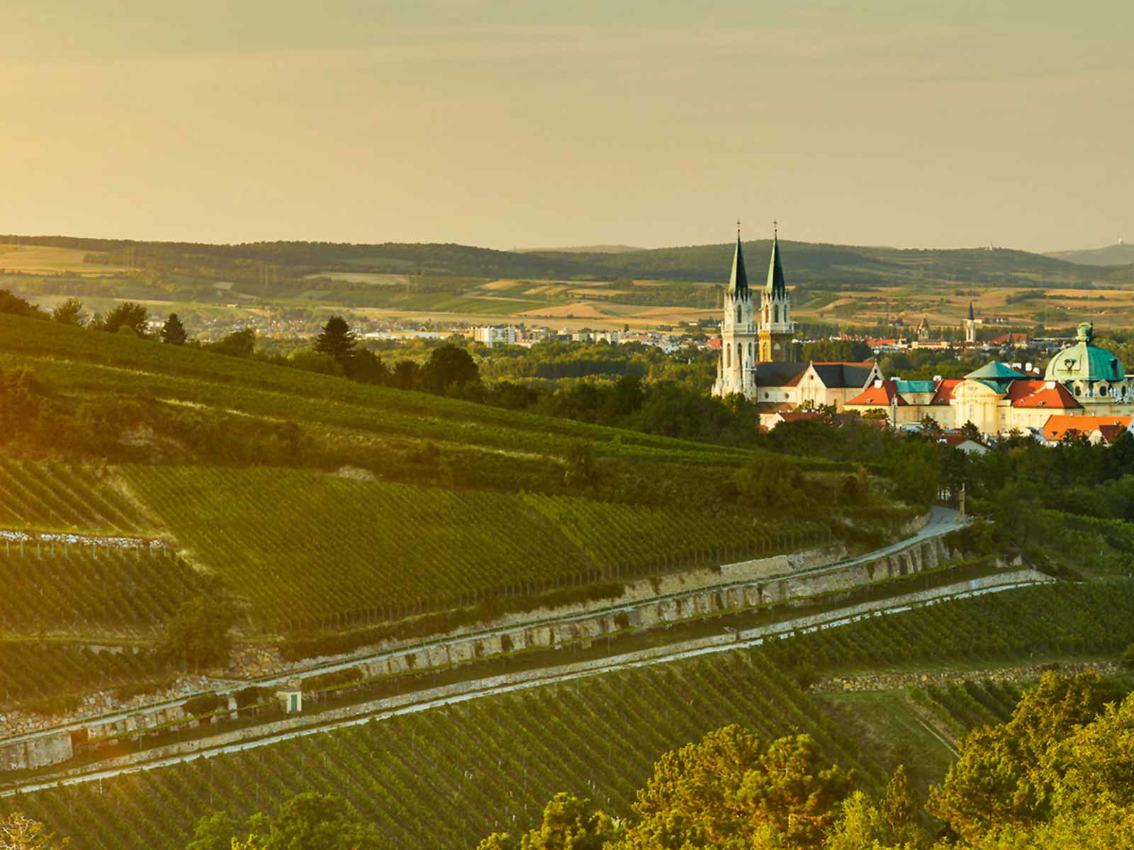 Blick aufs Stift Klosterneuburg, dem ältesten Weingut Österreichs.