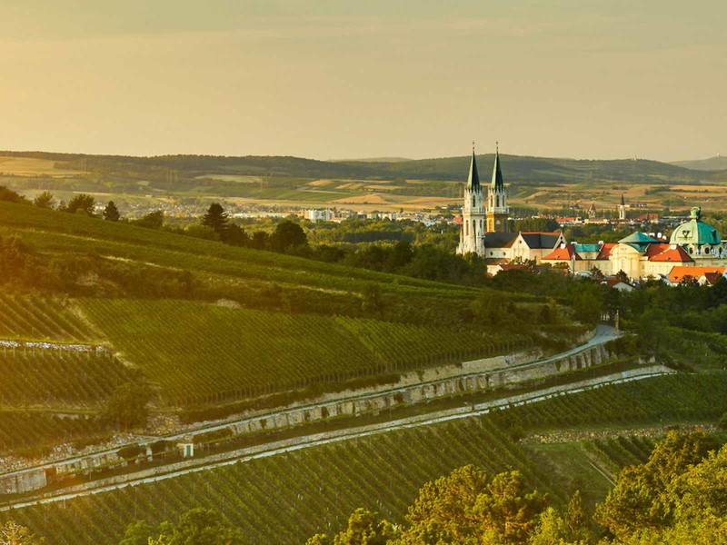 Blick aufs Stift Klosterneuburg, dem ältesten Weingut Österreichs.