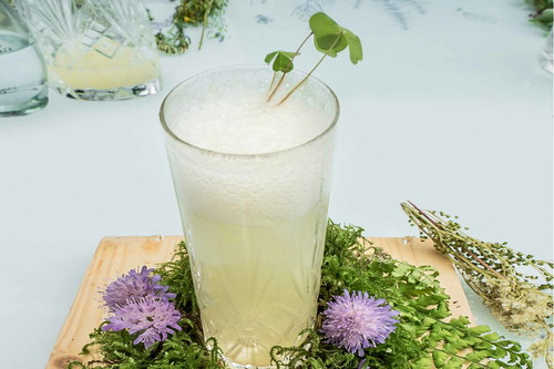 Klee-Sirup und Schafgarben-Espuma: Mit ihren Waldfunden kreierten Kathi Schwaller («heuer») und Andi Trattner diesen Gin-Longdrink.