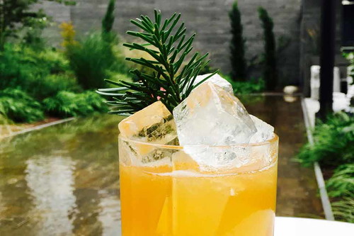 Der Schwarzwald im Glas: Für seinen «Forest» löst Enrico Albrecht das Aroma von Baumrinden mit Wodka. Als Garnitur des Cocktails aus dem «Roomers» in Baden-Baden dient ein Tannenzweigerl.