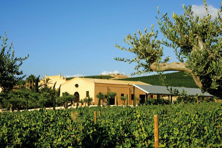 Donnafugata erzeugt auf Pantelleria köstlichen Passito.