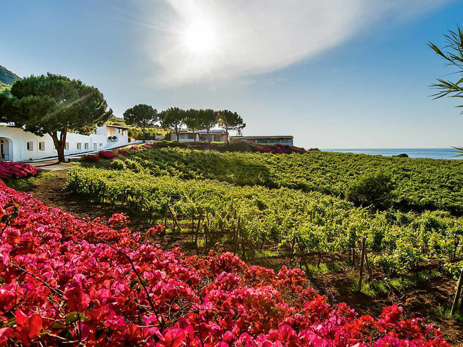 Weingut und traumhafte Urlaubsdestination: Capofaro auf Salina ist beides.