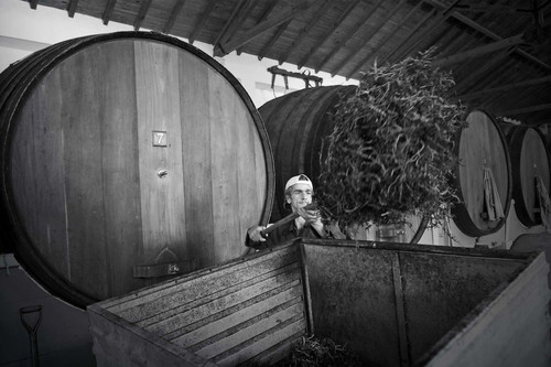 Portugiesische Häftlinge produzieren als Teil des Vollzugs Wein für die Gefängniskellerei.
