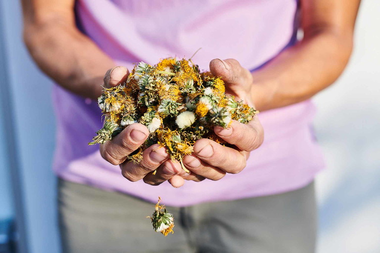Tee statt Gift: Die biodynamischen Präparate stellt man auf dem Weingut Besson-Strasser zum Teil selber her.