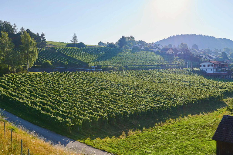 Am Rande des Kantons: Das Dorf Uhwiesen befindet sich am Rande des Zürcher Weinlands. Wenige Meter entfernt befindet sich mit dem Rhein die Grenze zu Schaffhausen.