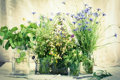 Von Frühlingsblumen bis Kräuter: In den Wermut darf alles, was gut schmeckt und nicht giftig ist.
