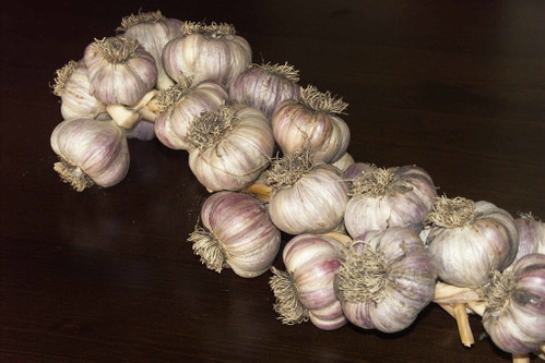 Strok – der geschmackige, rotlila Alpen-Knoblauch hat das entlegene Résiatal in ganz Italien bekannt gemacht.