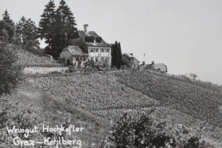 Der Kehlberg blickt auf eine lange Geschichte als Weinberg zurück.