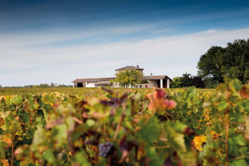 Auf Château Lafleur in Pomerol hat man einmal mehr einen Star des Jahrgangs im Keller – glücklich, wer eine Flasche ergattert.