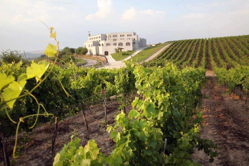 Das Weingut Burgozone in Bulgarien thront hoch über dem Flussufer bei Leskovets.