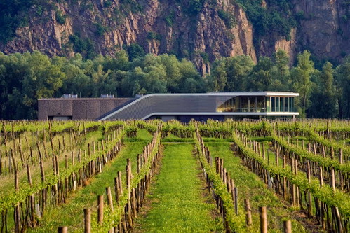 Modernste Architektur am Donauufer: das Weingut F.  X. Pichler in Oberloiben in der Wachau.