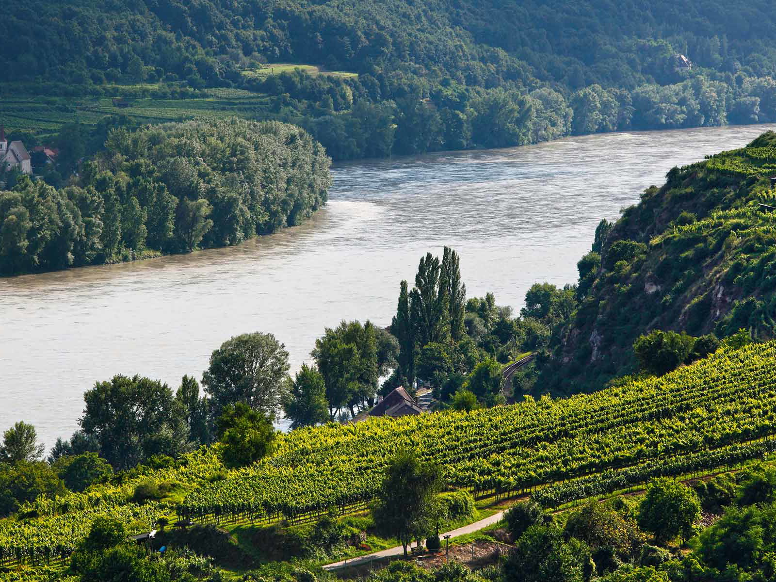 Die Hundsheimer Donauinsel liegt gegenüber der Ried Steiner Pfaffenberg bei Krems.