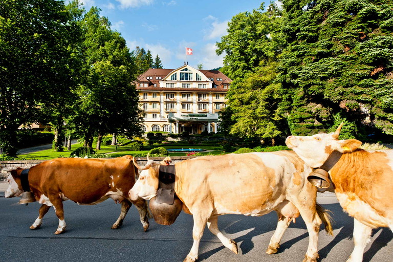 Das «Le Grand Bellevue» im Berner Oberland