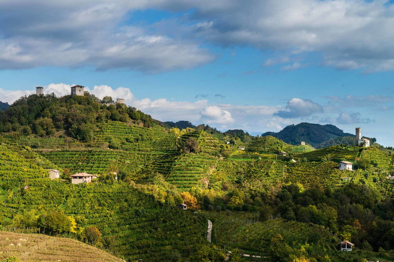 Beeindruckende Landschaft: Prosecco-Weinberge bei Valdobbiadene. 