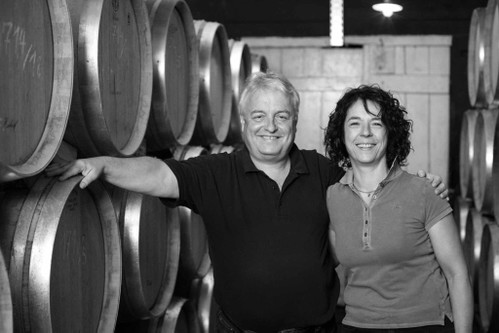 Silvia und Joachim Heger pflegen die Reben am Breisacher Eckartsberg, hier abgelichtet mit Kaiserstuhl im Hintergrund.