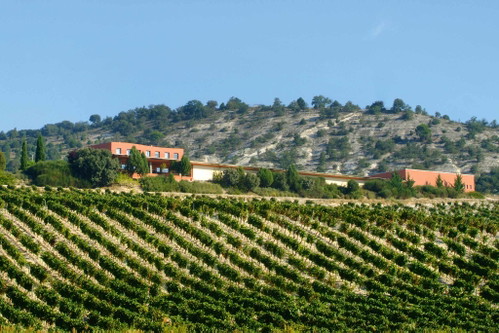 Auf der Hacienda Monasterio im spanischen Ribera del Duero begann 1990 Sissecks Erfolgsweg als Weinmacher.