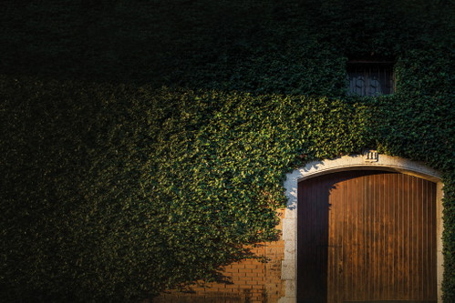 Das spanische Weinhaus Miguel Torres 