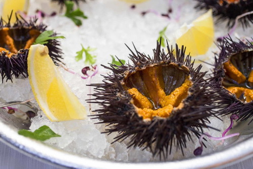 Tipp: Nicht drauftreten, essen!Seeigel, italienisch Ricci di mare genannt, gelten Kennern als ­unerreicht jodige, explosiv aromatische Delikatesse. Sie ­werden roh genossen – oder mit etwas Meerwasser über bißfest gegarten Spaghetti gelöffelt. ­Divino!