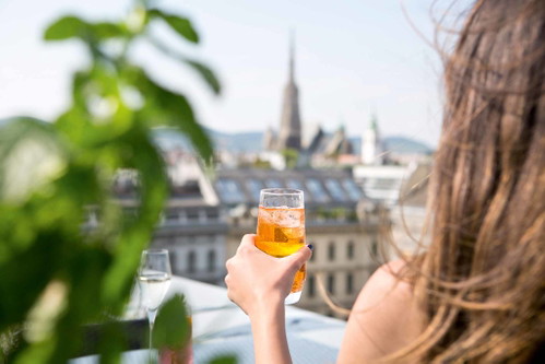 Dieser Blick auf Innenstadt und Stephansdom ist selbst für Wiener etwas ganz Besonderes.