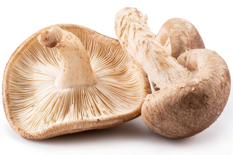 Der Shiitake findet vielfach Einsatz in der asiatischen Küche. 