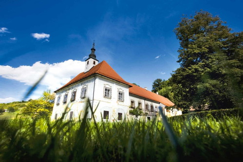 Die elegante Admund-Serie von Dveri-Pax in der Štajerska präsentiert große Weine aus ausgesuchten Spitzenlagen.