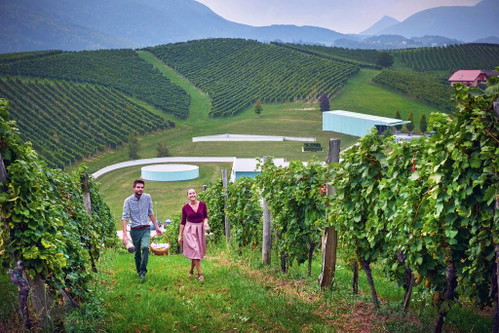 Das brandneue und ultramoderne Weingut Zlati grič verschwindet förmlich in der Reblandschaft. Das ist das Gesicht des neuen slowenischen Weinbooms.