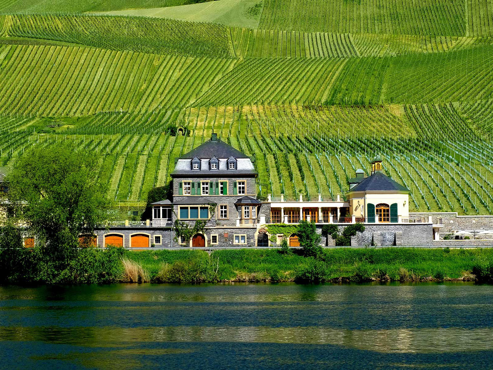 Das Weingut Dr. Loosen wurde unter den Top-Destinationen auf Platz 10 gewählt. 