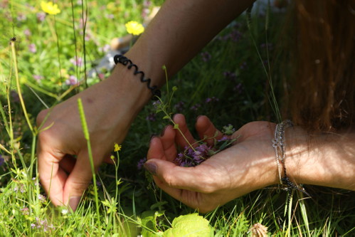 Foraging bedeutet »Futtersuche«