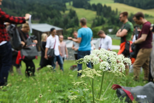 Die Natur liefert die besten Zutaten.