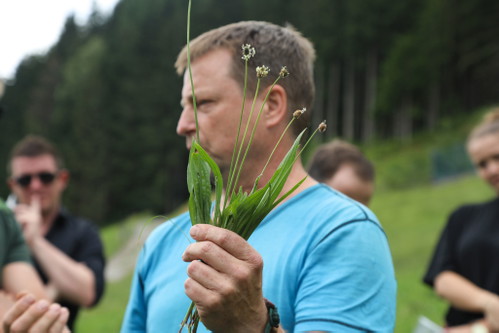 Kräuterexperte und Biologe Mag. Wilfried Bedek