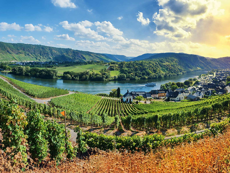 Erleben Sie bei der Wein- und Genussreise das idyllische Moseltal.