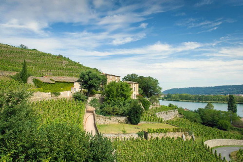 Seit dem Jahr 2011 gehört Château-Grillet (mit 76 Rebterrassen auf 3,5 Hektar) François Pinault – und ist damit ein Schwester-Gut von Château Latour.