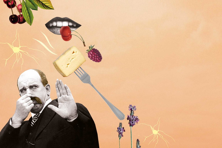 Bevor ein Aroma benannt werden kann, ist  der Gefühlsgehalt längst klar. Ebenso werden potenzielle Gefahrendüfte und Ekelhaftigkeit sofort bewertet.