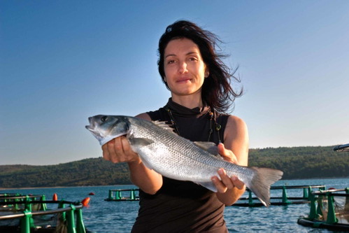 Molekularbiologin Irene Fonda will den besten Zuchtfisch der Welt produzieren.