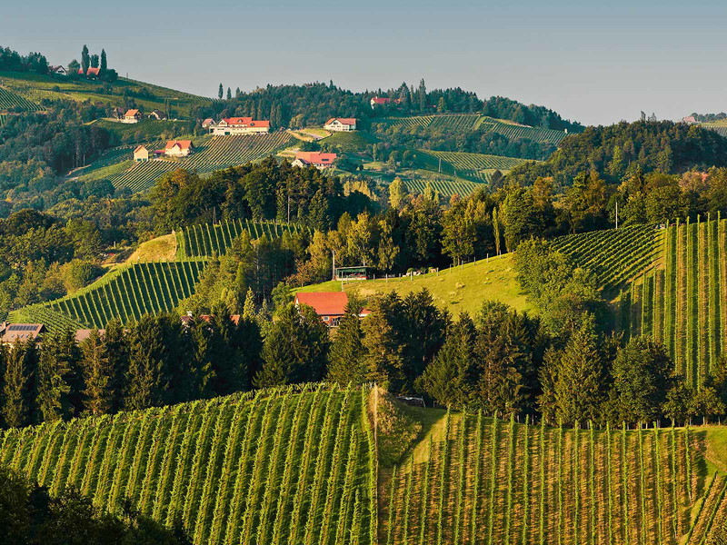 In der malerischen Südsteiermark freut man sich mit 2018 über einen weiteren tollen Jahrgang mit zahllosen Spitzenweinen.