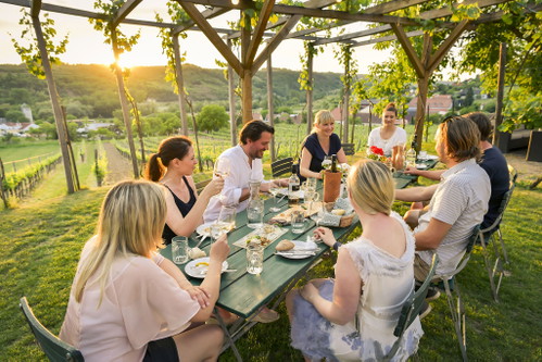 Gemütliches Dinner im Weingarten am Zöbinger Heiligenstein.