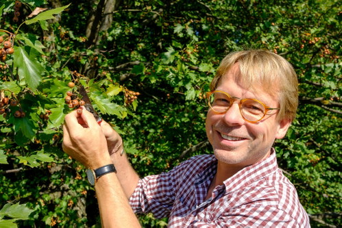 Axel Kiesbye bei der Ernte.