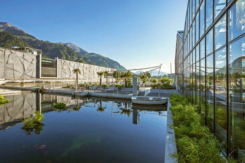 Tropenhaus Frutigen: Das 18 °C warme Wasser aus dem Innern des Lötschbergs bietet dem Stör eine perfekte Umgebung.
