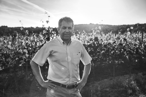 Erwin Tinhof&nbsp; aus Eisenstadt gilt als der arrivierteste Verfechter der Sorte Neuburger.