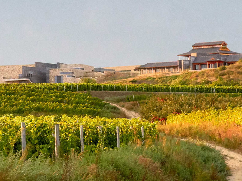 Das Weingut und die Villa der Domaines Barons de Rothschild in Shandong, China.&nbsp;
&nbsp;