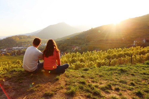 Ob bei einem Spaziergang durch die Weinberge – wie hier in der Wachau – oder ...