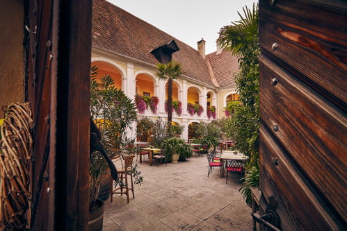 ... beim Besuch eines Weinguts – der Weinherbst Niederösterreich hat viele Facetten. Im Bild: Das Weingut Holzapfel in Weißenkirchen in der Wachau