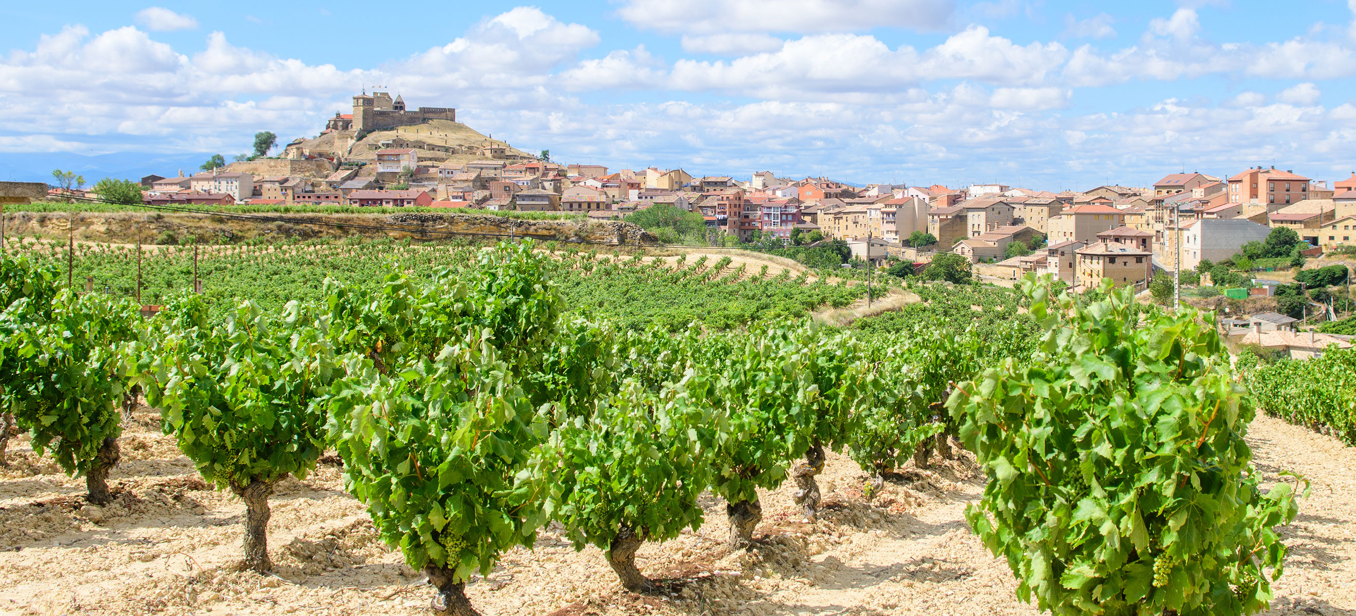 Top 10 Rioja: Reservas bis 20 CHF - Falstaff