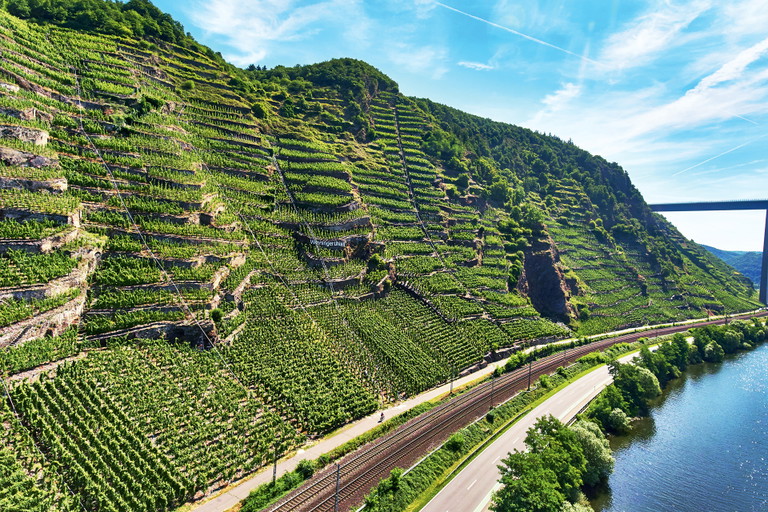 Weingut Heymann-Löwenstein: Steillage Winninger Uhlen an der Terrassenmosel.&nbsp;