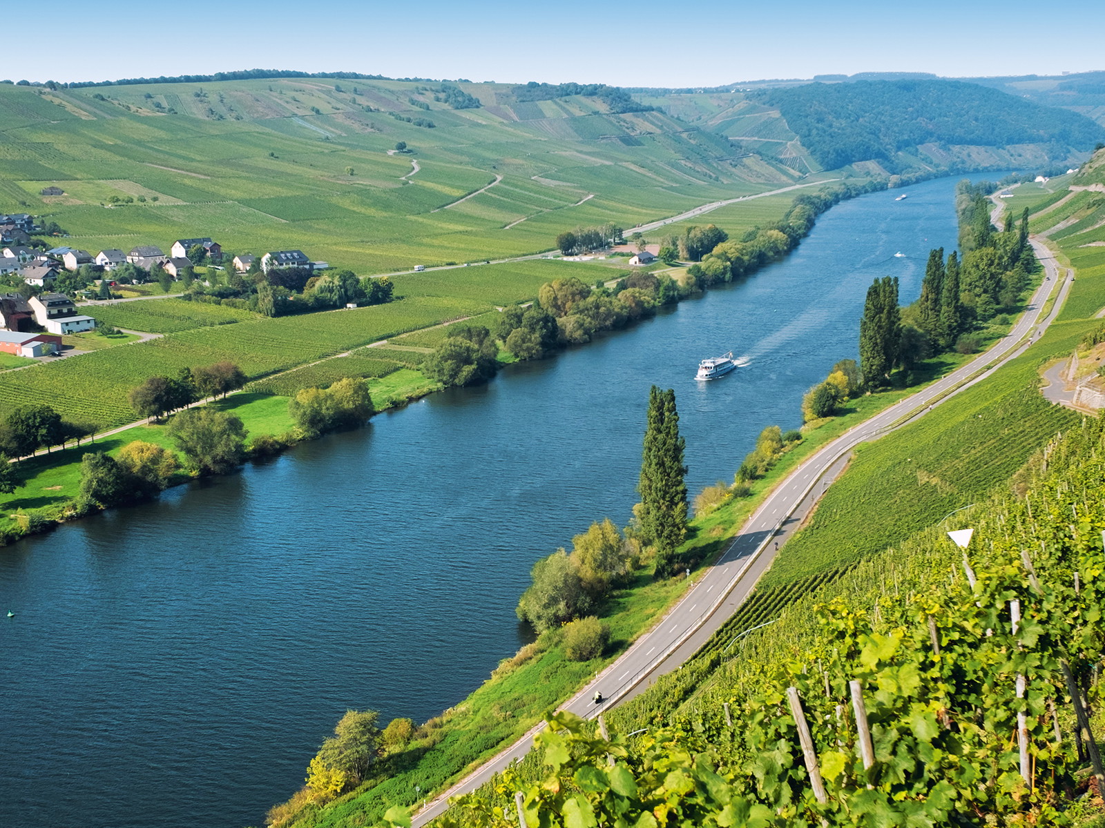Fluss mit Rebenmeer: Das ist die typische Landschaft im Moseltal.