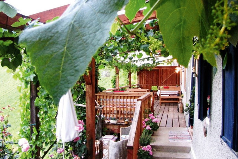Blick in die Weinberge in »Schramms Wirtshaus«.