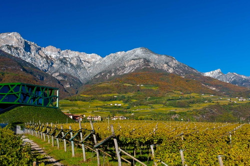 Die Traminer Lagen im Herbst