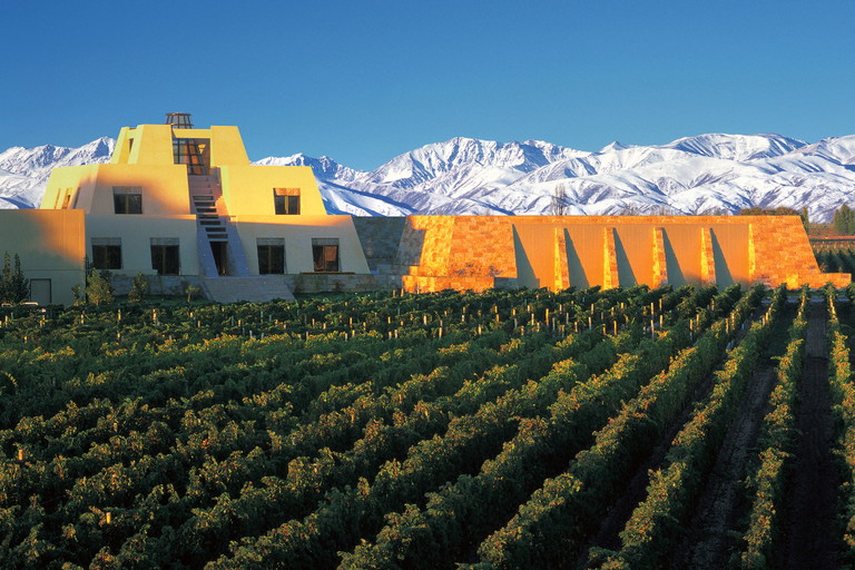 Hoch hinaus muss man für den Chardonnay White Stones von Catena Zapata, der weit jenseits der 1000-Meter-Zone wächst.