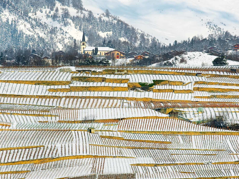 Im Schweizer Wallis sind die hohen Gipfel allgegenwärtig. Hier, in einmaliger Umgebung, gedeihen einige der interessantesten Weine der Eidgenossenschaft.